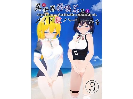 異世界召喚石でメイド隷ハーレムを 3巻 メイン画像