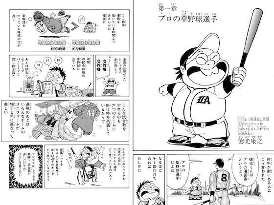 Professional grass baseball player essay cartoon BATDAYS + filial sacrifice of the wild cow