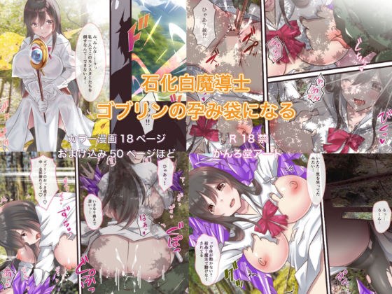 石化白魔導士ゴブリンの孕み袋になる メイン画像