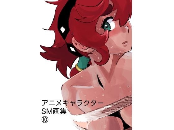 Anime Character SM Art Book 10