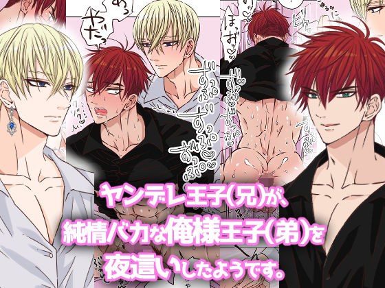 ヤンデレ王子（兄）が、純情バカな俺様王子（弟）を 夜●いしたようです。 メイン画像