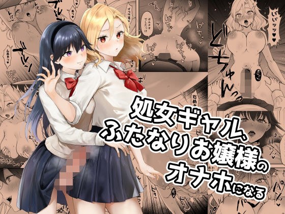 処女ギャル、ふたなりお嬢様のオナホになる メイン画像