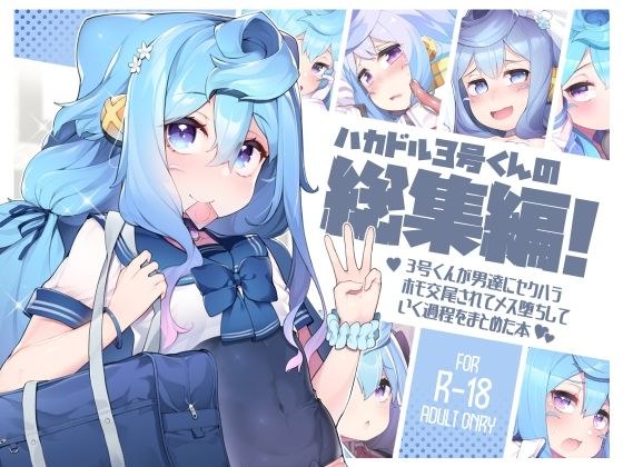 ハカドル3号くんの総集編！3号くんが男達にセクハラホモ交尾されてメス堕ちしていく過程をまとめた本 メイン画像