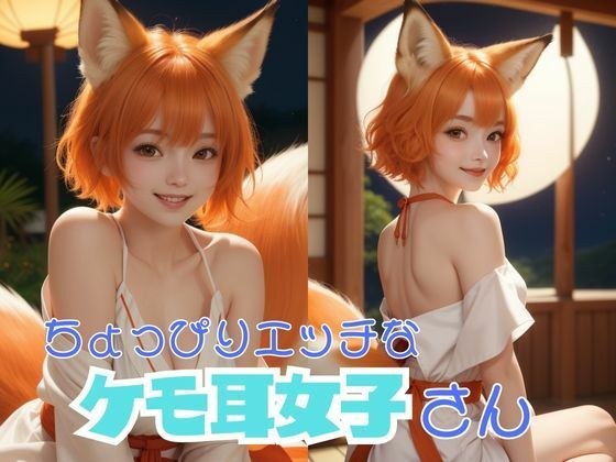 ちょっぴりエッチなケモ耳女子さん メイン画像