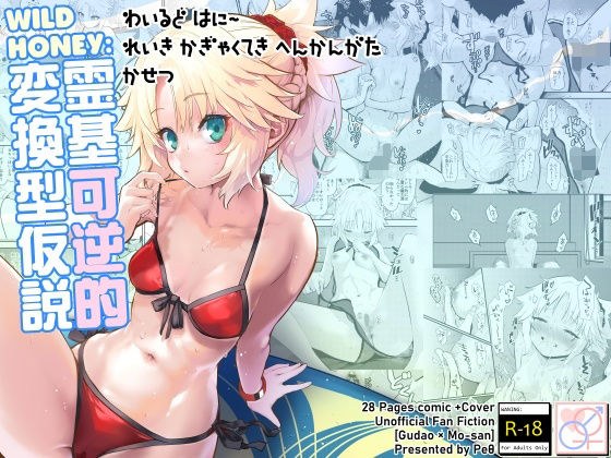 WILD HONEY:霊基可逆的変換型仮説 メイン画像