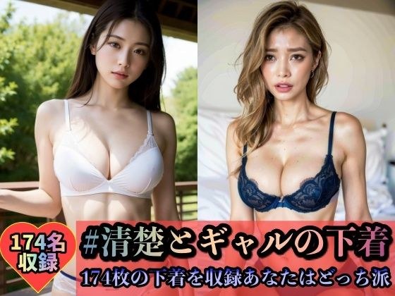 174枚収録〜清楚とギャルの下着チェック メイン画像