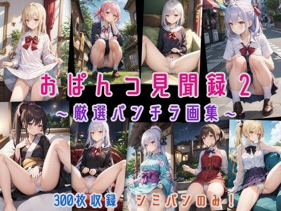 おぱんつ見聞録2 〜厳選パンチラ画集〜 メイン画像
