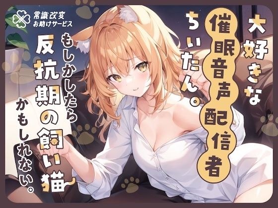 我最喜欢的活动音频经销商 Chiitan。也许这是一只叛逆的家猫。 メイン画像