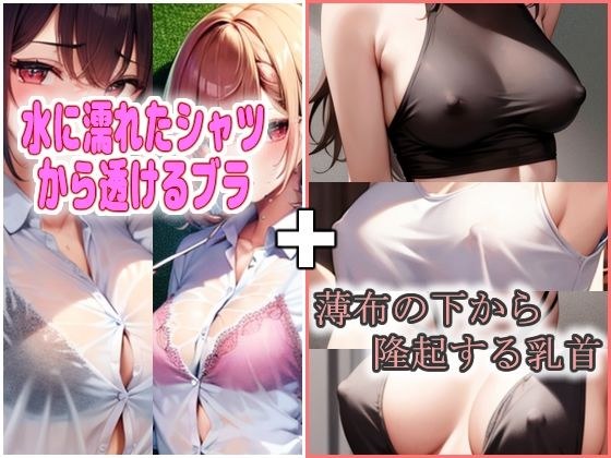 See-through bra & pouch nipple set メイン画像