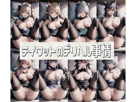 テイワットのデリヘル事情 メイン画像