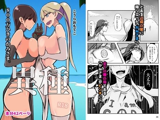 800万ひきのかみさま。 メイン画像