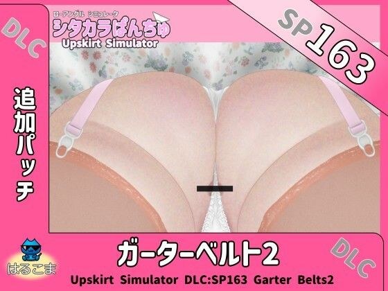 SP163 ガーターベルト2追加パッチ メイン画像