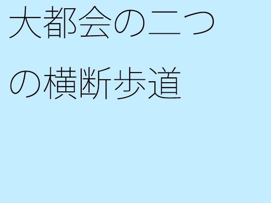 【無料】大都会の二つの横断歩道 メイン画像