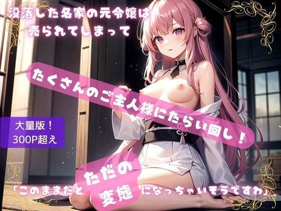 没落した名家の元令嬢は売られてしまって、たくさんのご主人様にたらいまわし！「このままだとただの変態になっちゃいそうですわ」 メイン画像