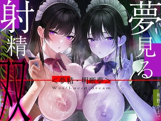[6 hours hippocampus control] Dreaming ejaculation twins ~ Give you a sweet and long-lasting pleasure with wet dreams that leak out ~ [Lucid dream with twins' hypnosis] メイン画像