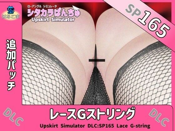 SP165 レースGストリング追加パッチ メイン画像