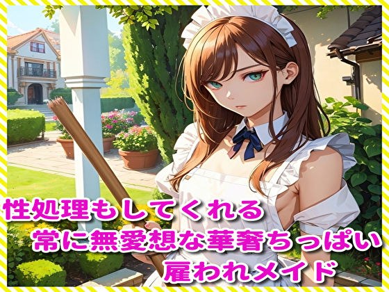 性処理もしてくれる常に無愛想な華奢ちっぱい雇われメイド メイン画像