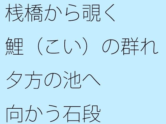【無料】桟橋から覗く鯉(こい)の群れ 夕方の池へ向かう石段 メイン画像