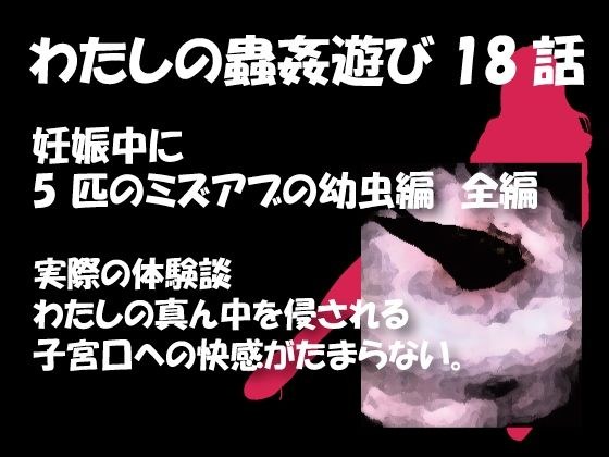 私の蟲姦遊び 18話 妊娠中に5 匹のミズアブの幼虫編 メイン画像