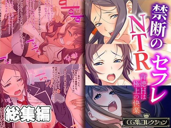 禁断のNTRセフレ 〜背徳Hは極上の快感〜【CG集コレクション】 メイン画像