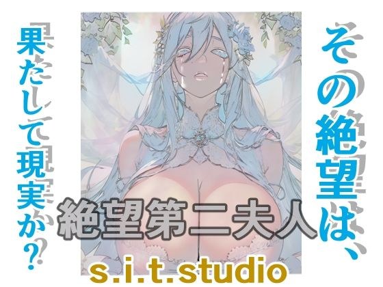 絶望第二夫人 メイン画像