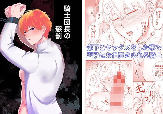 騎士団長の懲罰 メイン画像