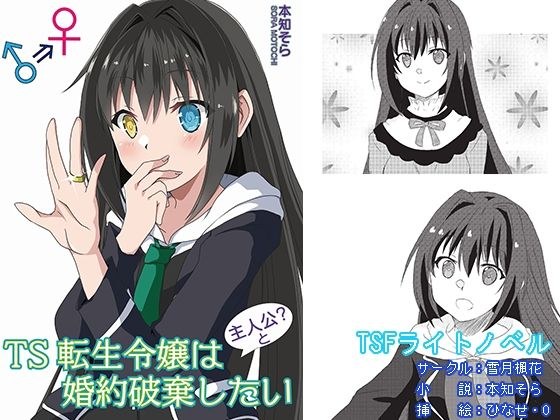 TS転生令嬢は主人公と婚約破棄したい メイン画像