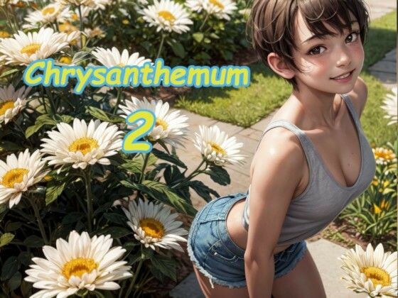 Chrysanthemum 2 メイン画像