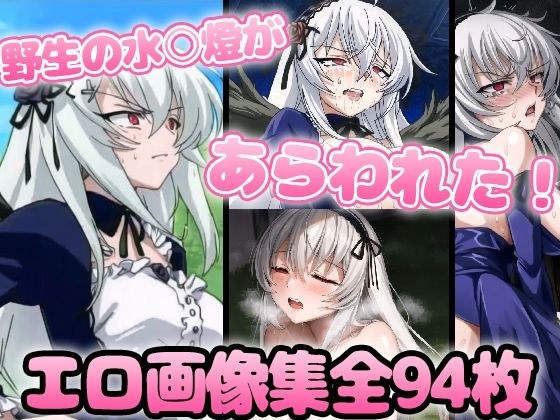 野生少女 水〇燈 メイン画像