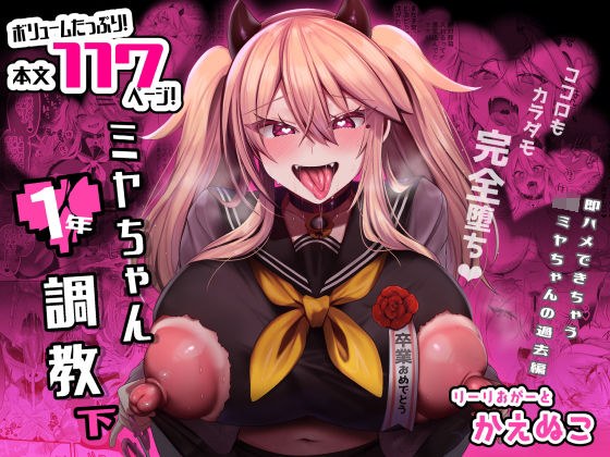 ミヤちゃん1年調教 下 メイン画像