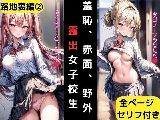 羞恥、赤面、野外露出女子校生 路地裏編2 メイン画像