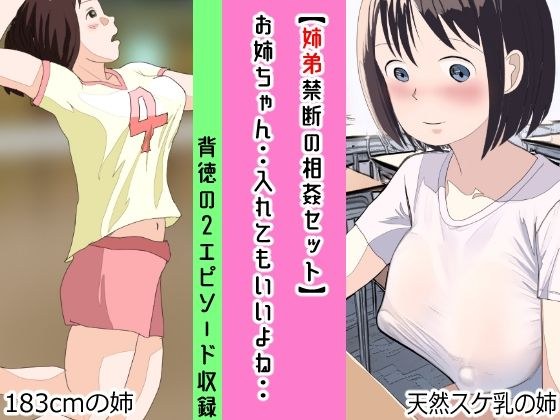 【姉弟禁断の相姦セット】お姉ちゃん・・入れてもいいよね・・ メイン画像