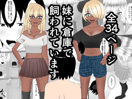 妹に倉庫で飼われています メイン画像