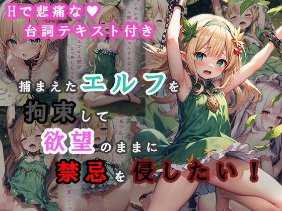 捕まえたエルフを拘束して欲望のままに禁忌を侵したい！ メイン画像