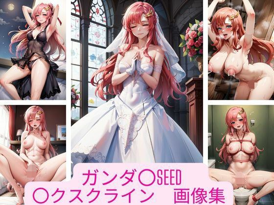 ガンダ〇SEED 〇クスクライン 画像集 メイン画像