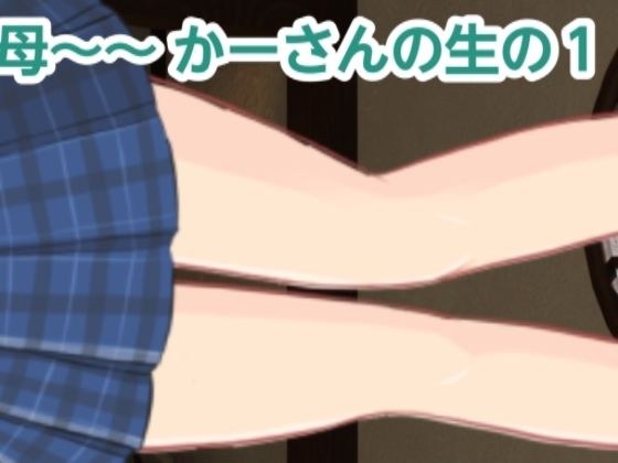 かーさんの生の1 メイン画像
