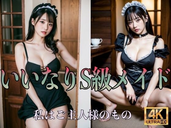 顺从的S级女仆我是主人的 メイン画像