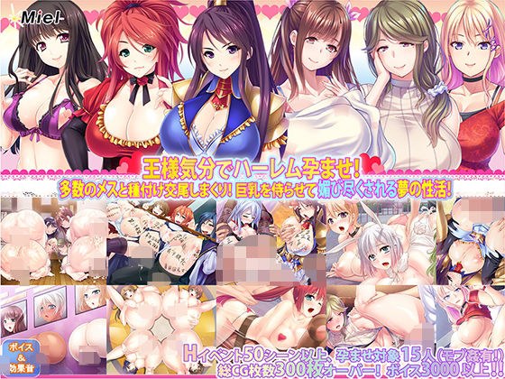 【期間限定】【福袋】ハーレム孕ませ3作セット メイン画像