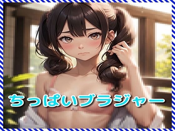 ちっぱいブラジャー メイン画像