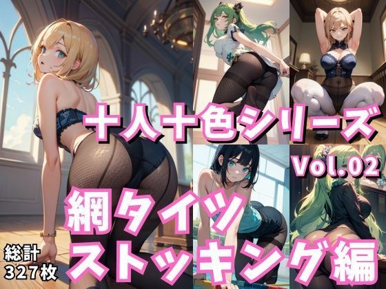 十人十色シリーズ vol.02:網タイツ・ストッキング編:299＋29枚 メイン画像