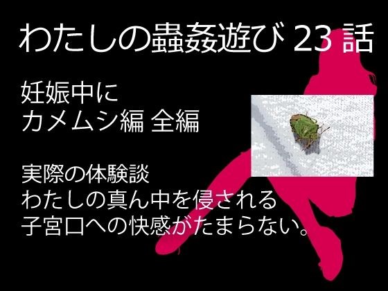 私の蟲姦遊び 23話 妊娠中に1匹のカメムシ編 全編 メイン画像