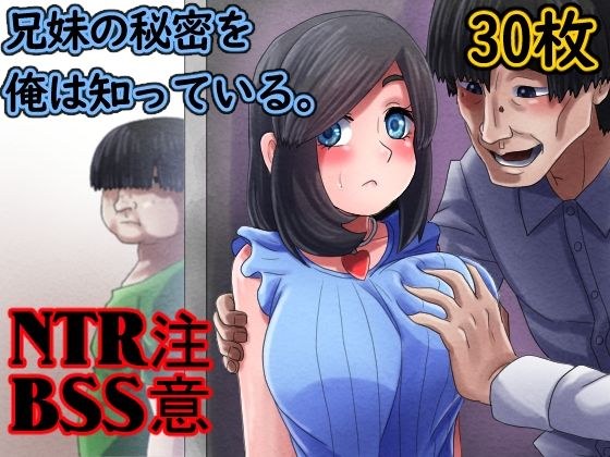 兄妹の秘密を俺は知っている。 メイン画像