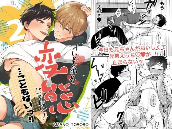 オレも弟も変態じゃない！こともないっ！！ メイン画像