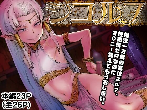 シコルフ メイン画像