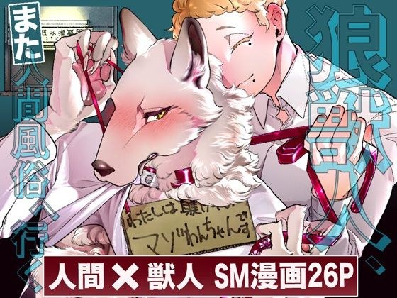 狼獣人、また人間風俗へ行く メイン画像