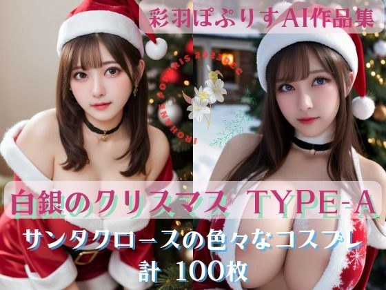Noël en argent 白銀のクリスマス TYPE-A100 メイン画像