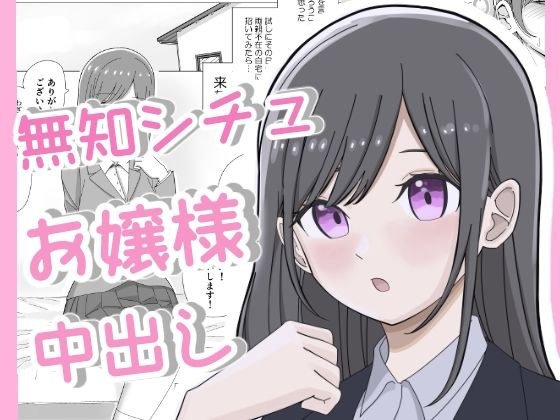 無知につけこんで清楚系お嬢様に中出しキメるまで メイン画像