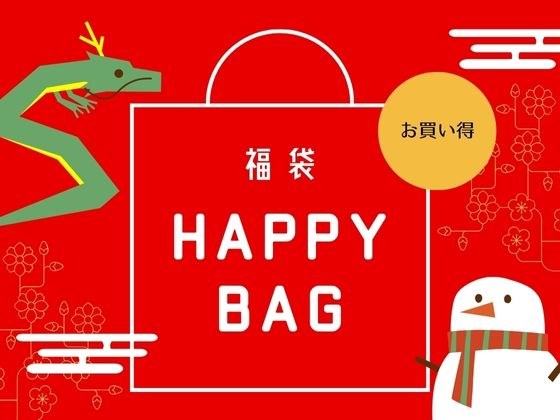 【HAPPY BAG】2024年新年快乐！！2023年热销BEST4！！ メイン画像