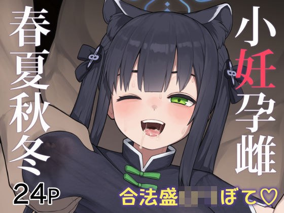 小妊孕雌春夏秋冬 メイン画像