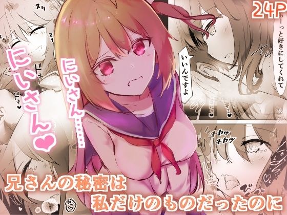 兄さんの秘密は私だけのものだったのに メイン画像